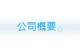 公司概要